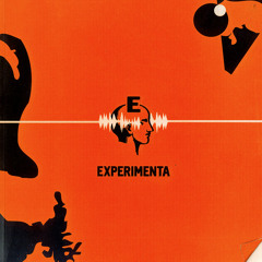 RevistaExperimenta16
