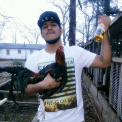 cisneros-brklyn11208