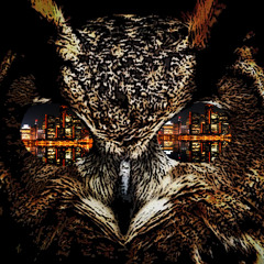 Owl of Detroit