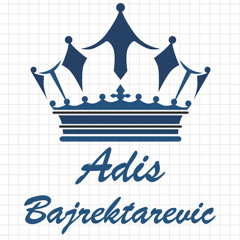 Adis Bajrektarevic