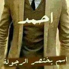 Prince Ahmed Lasheen