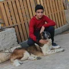 Fouad Gazar