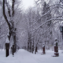 Shadows of Existence