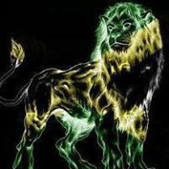 Black Liion