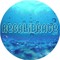RECALIBRATE