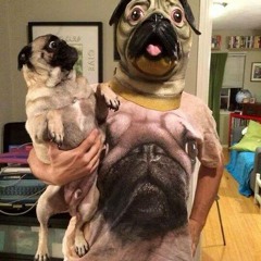 FÜDS