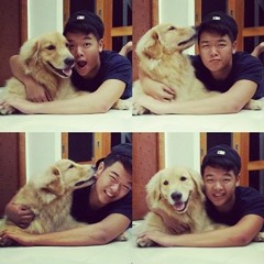 jefsunbear