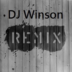 DJ*WiNsOn