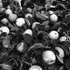 BassNightflight Berlin