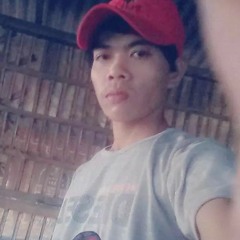 minizin4