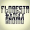 Floresta de Gnomo