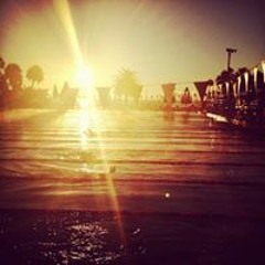 LoveSwimming99