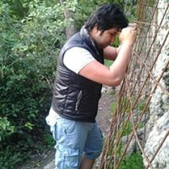 Mozafar Majidi