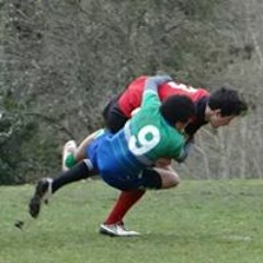 Malcolm Walton