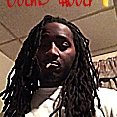 Bodii Breezii