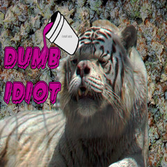 dumb-idiot