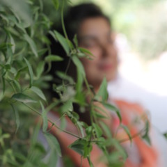 Tabinda A Jaswal