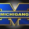 MichigangInc