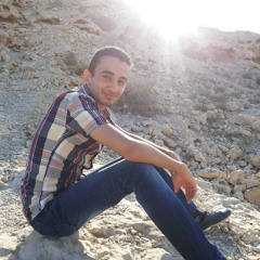 user498700741
