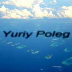 Gloria Gaynor - I Will Survive (Yuriy Poleg remix)