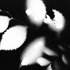 Quarter Mile Thunder