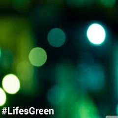 Ben LG aka Mr.LifesGreen