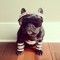 Matty_E
