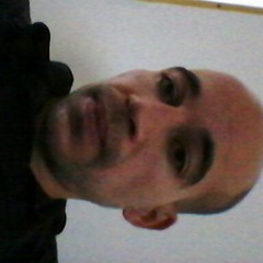 user245281343