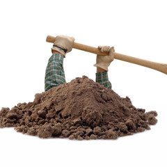 Digger Extraordinaire