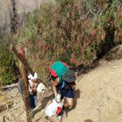 Francisco Antonio Díaz