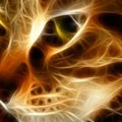 Kitty Blaster