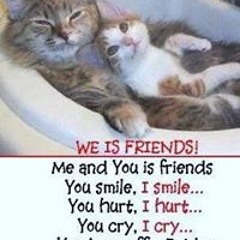 Denise Schleeter Carlson