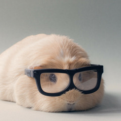 汪蘇瀧 Silence Wang & By2 - 有點甜 You Dian Tian [翻唱 Duet Cover w/ foocw]