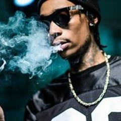 Salvo wiz