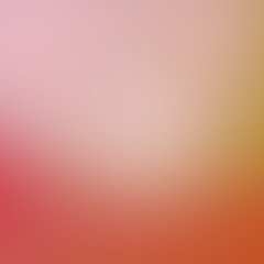 The Anonymous Turtle