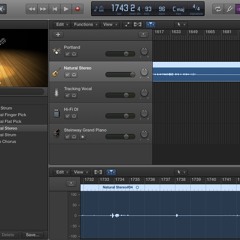 Swim Like Cannonballs