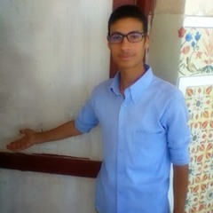 esam barakat
