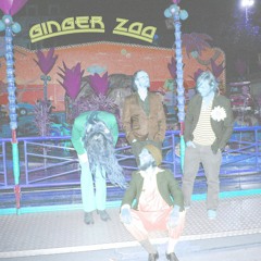 Ginger Zoo