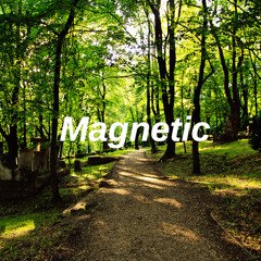 Magnetic