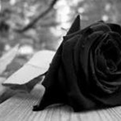 Elizabeth Bracamontes