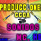 CCOA PRODUCCIONES