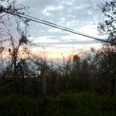 wilsr