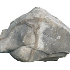 Freestone