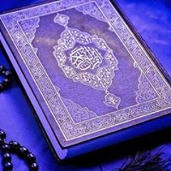 user512403873