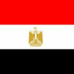 Amr Haitham
