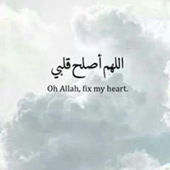 user735713452