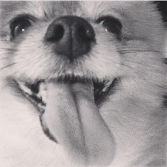 YUNG P. (THE PRODUCER)