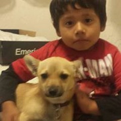 Carlos Armando Alaman