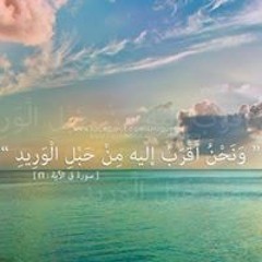Hassan AL-sharkawey