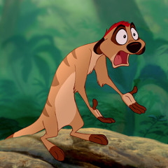 Timon Hsmn